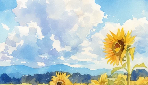 夏の始まり！